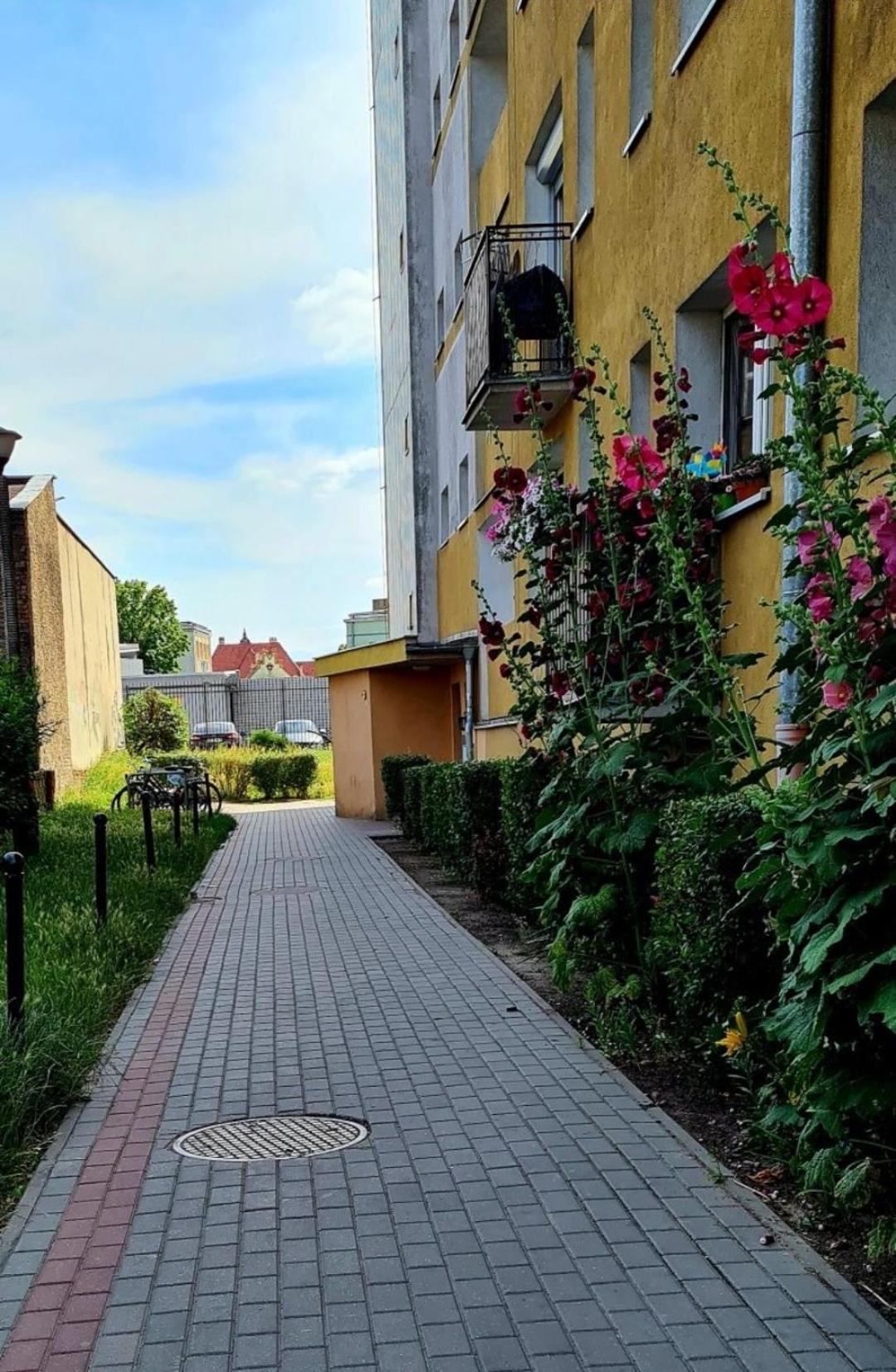 Apartament Przy Alei Kopernika Inowrocław Extérieur photo